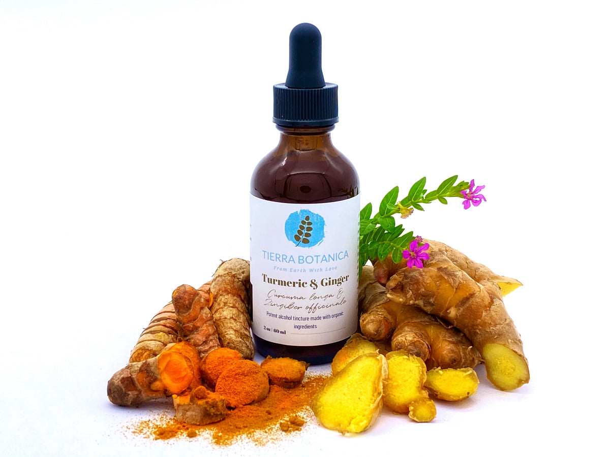 Turmeric Ginger Curcuma longa Zingiber officinale 2 oz 60 ml