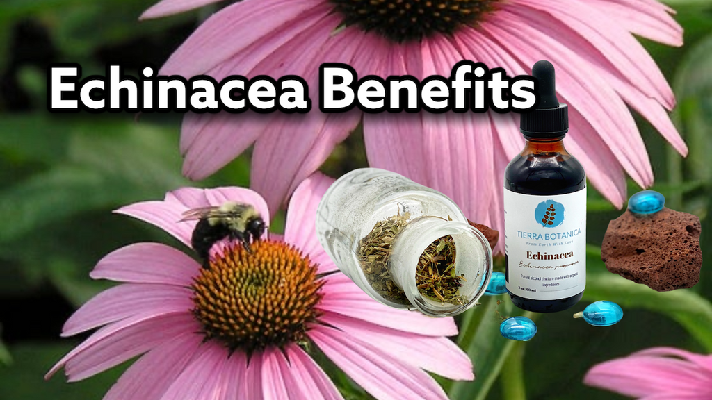 Unknown Benefits of Echinacea