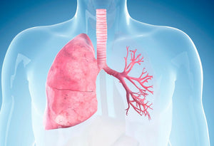 Asthma and Upper Respiratory Issues