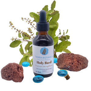 Holy Basil (Ocimum tenuiflorum) 2 oz (60ml)